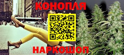 крисы Апшеронск