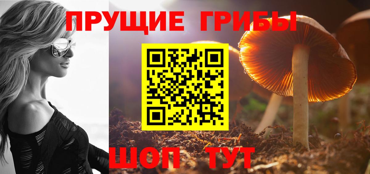 Галлюциногенные грибы GOLDEN TEACHER Бийск