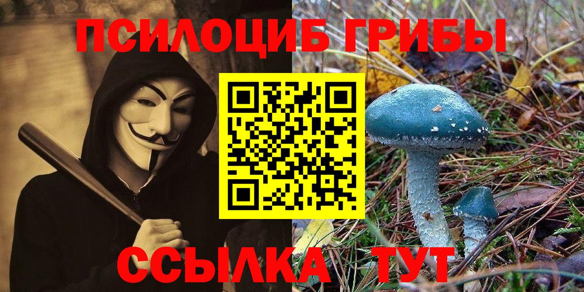 Галлюциногенные грибы GOLDEN TEACHER  Вход с VPN  Бийск 