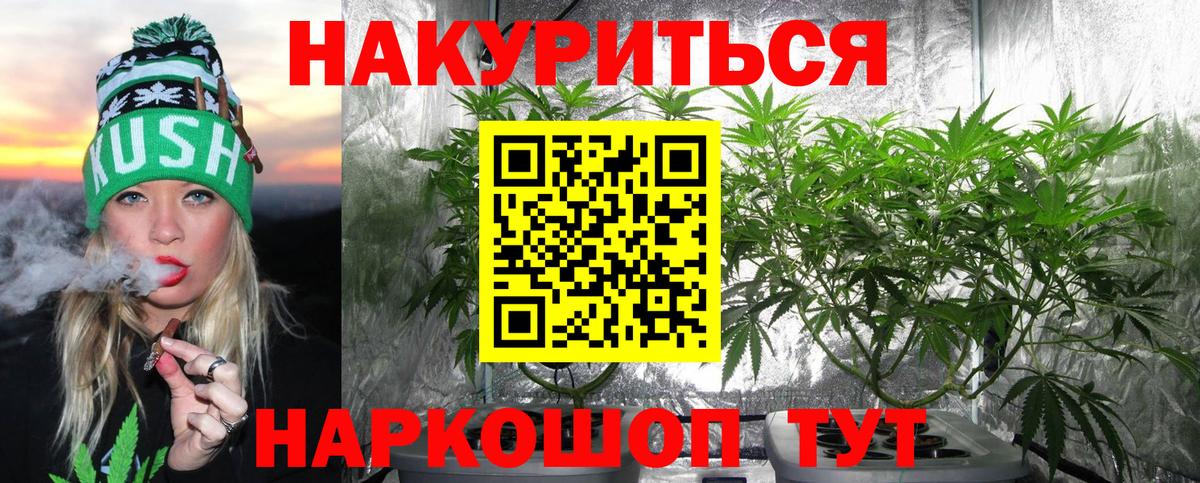 Шишки марихуана план  МАРИХУАНА White Widow  МАРИХУАНА OG Kush  Бийск  Каннабис Bruce Banner  Вход с VPN 